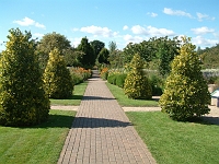 View in Organic garden
